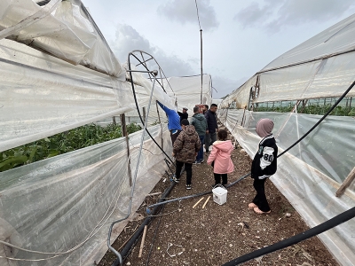 Antalya’da Hortum Seralara Zarar Verdi