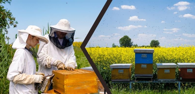 Türkiye Arıcılık Haritası Güncellendi