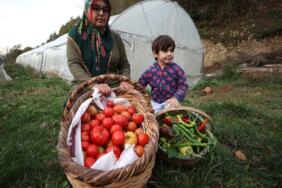 Düzce_atatohum_sera