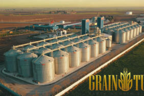Grainturk
