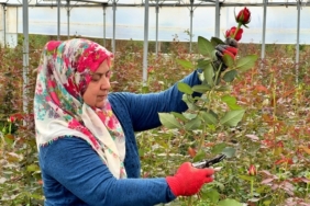 Osmaniye_kadinlar-sera