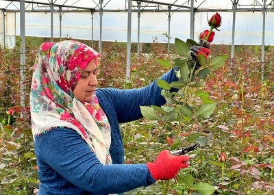 Osmaniye’li Kadınlar, Kooperatifle İşlerini 4 Kat Büyüttü