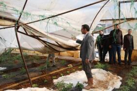 alanya_dolu-sera_zarar