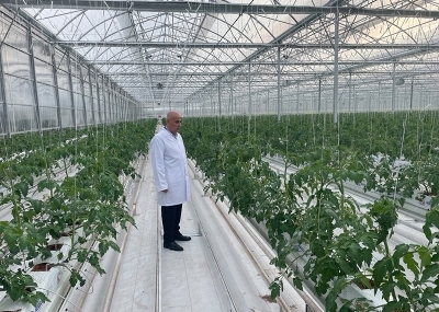 Arzumuz Daha Çok Modern Seraların Kurulması