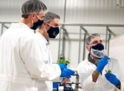 -dikey-tarım-ve-sera-bahceciliğinin-birlestirilmesi-1