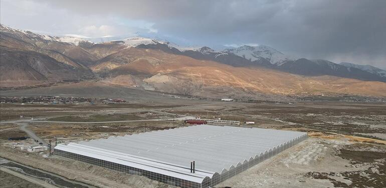 Erzincan’da Ekşisu Bölgesinde 40 Dekar Sera Kuruldu