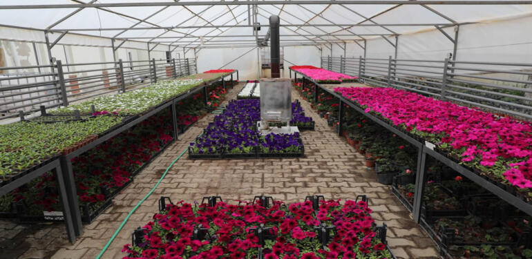 Eskişehir Teknik Üniversitesi Kampüslerinde 20 Bin Çiçek ve 2 Bin Fidan Yetiştirildi