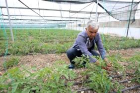 kahramanmaraş_depremzede_sera