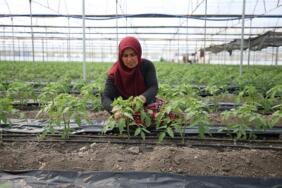 kahramanmaraş_depremzede_sera2