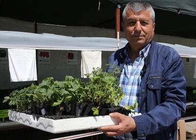 Konya’da Kurulan Sebze Fidesi Tesisi Bölge Üreticisine Ekonomik Katkı Sağlıyor