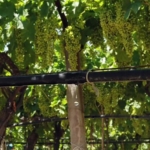 on-odemeli-sayac-