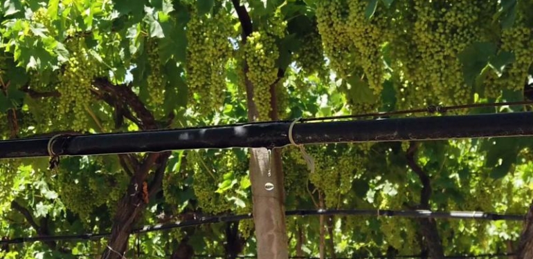 Tarımsal Sulamada Verimliliği Artıracak Hamle, Ön Ödemeli Sayaç Kullanımından Geçiyor