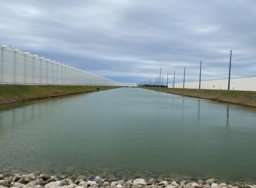 sera-sulama-suyunun-soğutulması