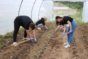 zonguldak_uni-yeni1-sera