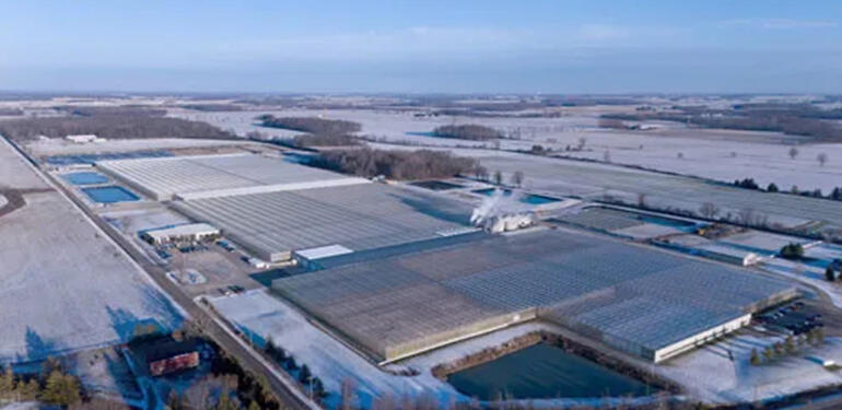 18 Hektarlık Serada Dikime Hazır 60 Milyon Fide Yetiştiriliyor