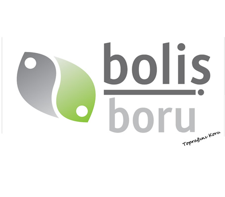 bolis_boru