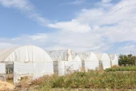 sera-naylon-balikesir