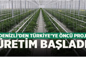 denizli_jeotermal_sera