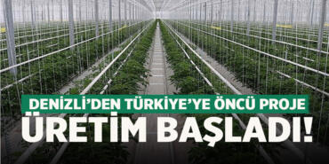 denizli_jeotermal_sera