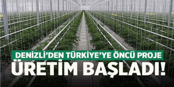 Türkiye’nin İlk Jeotermal Isıtmalı Tarım Üssü Denizli’de Üretime Geçti