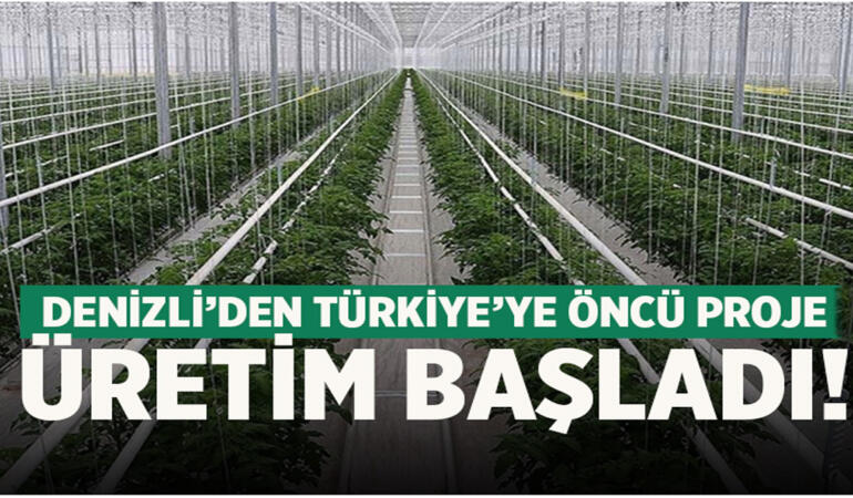 Türkiye’nin İlk Jeotermal Isıtmalı Tarım Üssü Denizli’de Üretime Geçti