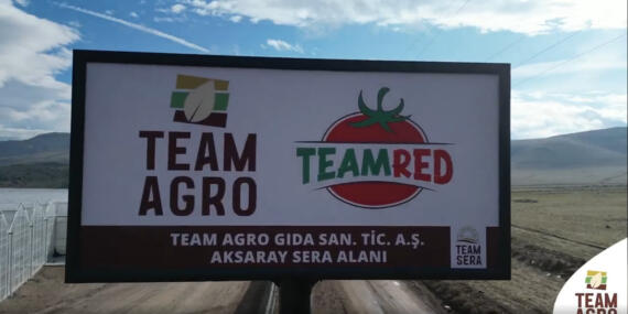 Team Agro’dan Jeotermal Serada İlk Fide Dikimi