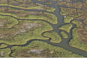 Gediz_deltas_Hellio_Van_Ingen