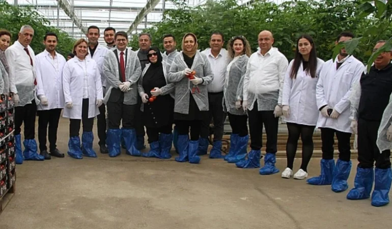 Kula Jeotermal Serada Sezonun İlk Hasadı Yapıldı
