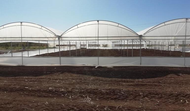 Batman’da Modern Seracılık ve Bağcılık Projeleri Onaylandı