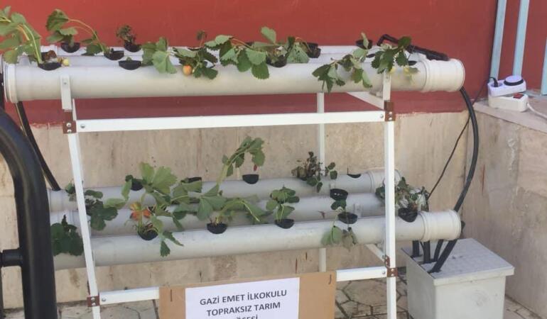Gazi Emet İlkokulu’nda Tarım ve Eğitim Buluşması