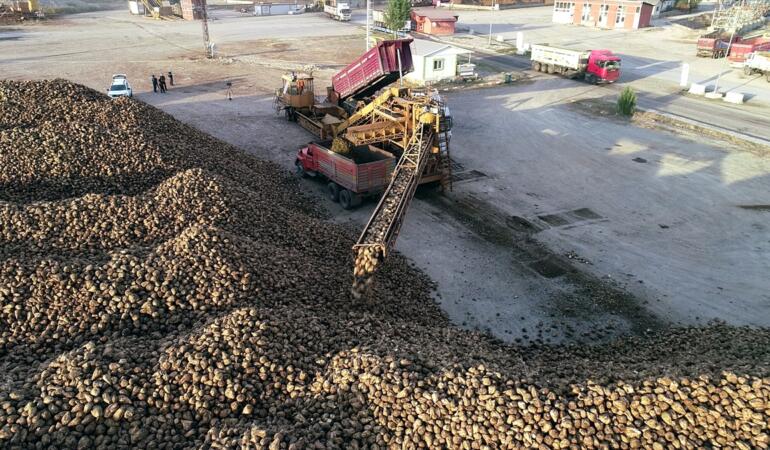 Erzurum ve Erzincan’da Pancar Hasadı Tamamlandı