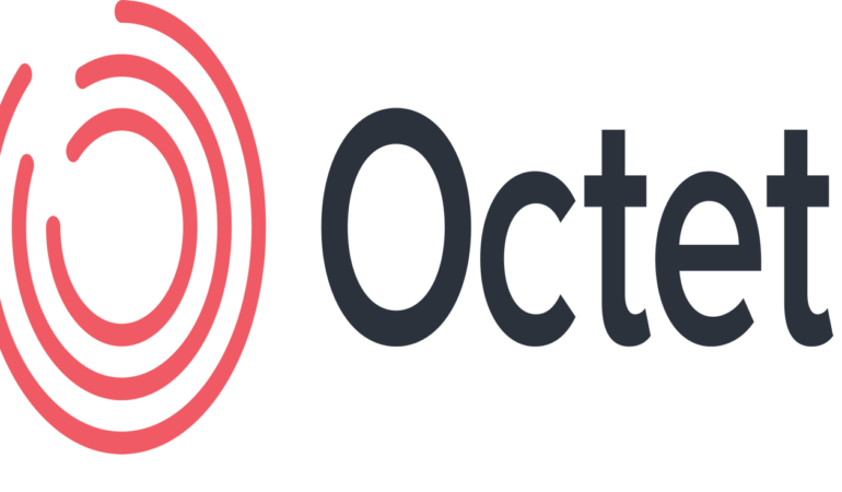 Octet Türkiye 2024 Sonuçlarını ve Gelecek Hedeflerini Paylaştı