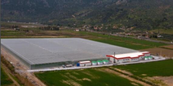 Paco Agro: Jeotermal Destekli Modern Seracılık