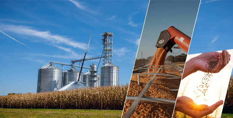 2.1 Milyar Liralık Destekleme Ödemesi Hesaplara Yatırılıyor