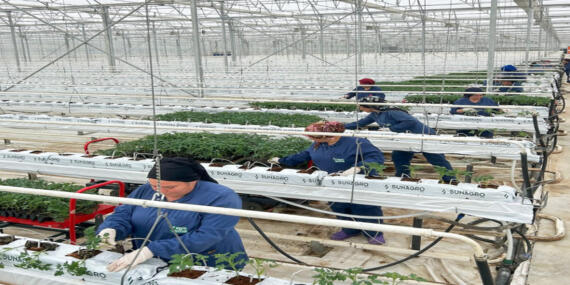Agrotermal, 2025’e Üretimle Başladı!