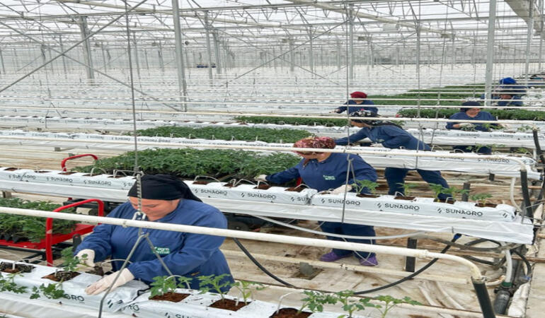 Agrotermal, 2025’e Üretimle Başladı!