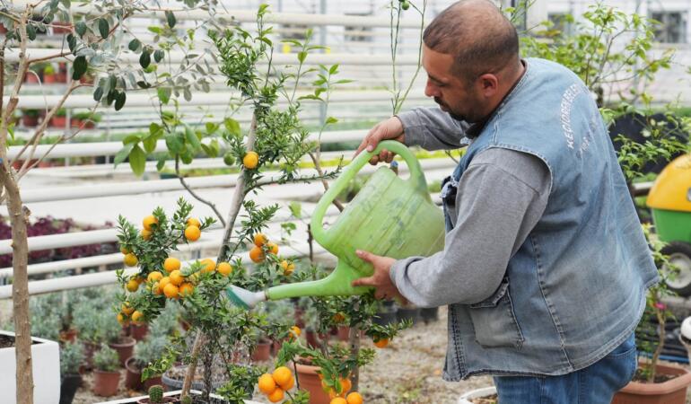 Keçiören Belediyesi’nden Bilinçli Yetiştiricilik Eğitimi