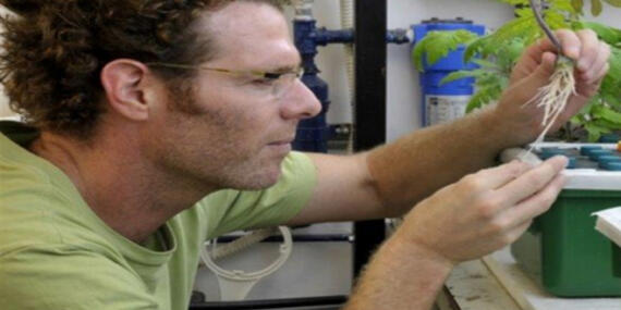 İhmal Edilen Kök ve Toprak Sorunlarının İncelenmesi