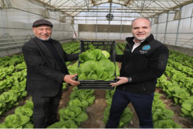 niğde_halisdemir_sera