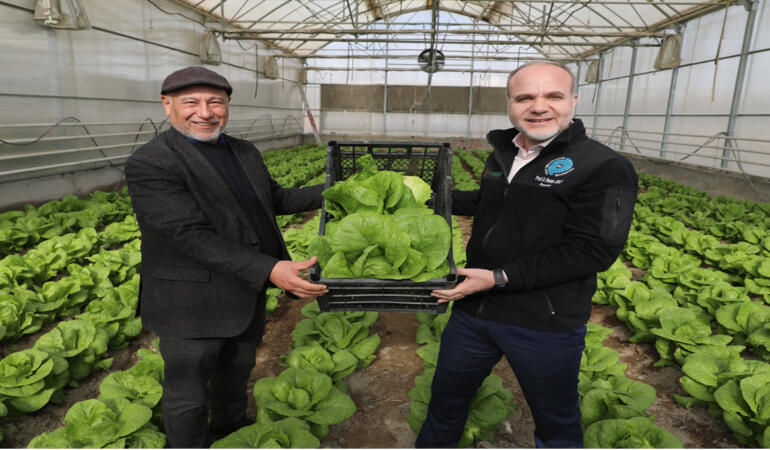 Niğde Üniversitesi’nde Yerel Marul Hasadı Gerçekleşti