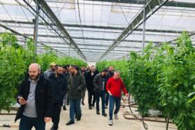 tohumorg_Uygulamalı_Çiftçi_Eğitimleri