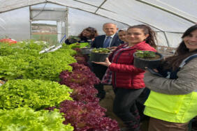 MamakBel-Topraksız-Tarım-İlk-Mahsulünü-Verdi