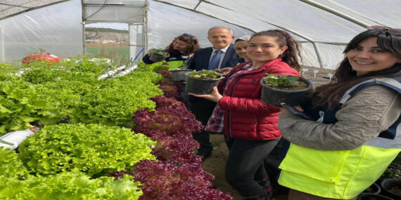 Mamak Belediyesi Topraksız Tarım ile Üretime Başladı