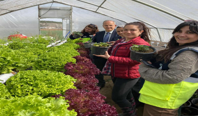 Mamak Belediyesi Topraksız Tarım ile Üretime Başladı