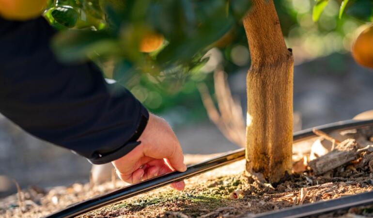 Su Geleceğimizdir: 22 Mart Dünya Su Günü