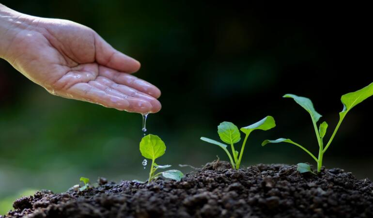 TEMA Vakfı: Ormanları ve Su Varlıklarını Korumak Artık Bir Tercih Değil, Zorunluluk