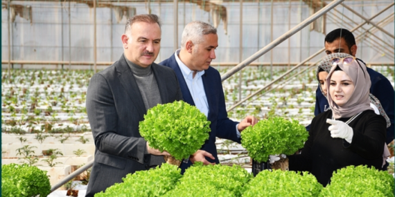 Harran Üniversitesi’nde Modernize Edilen Ar-Ge Serasında İlk Ürünler Hasat Edildi