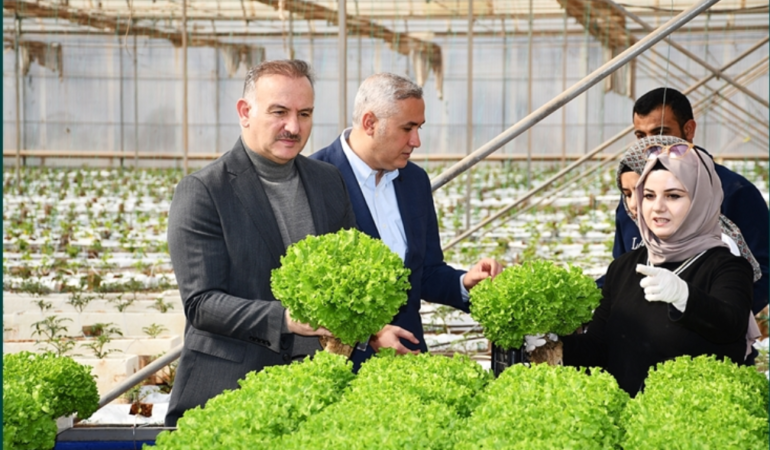 Harran Üniversitesi’nde Modernize Edilen Ar-Ge Serasında İlk Ürünler Hasat Edildi