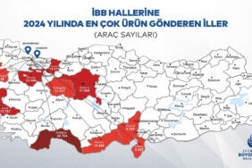ibb_araç_sayıları