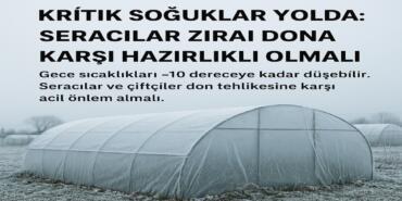 Seralarda_Don_tehlike